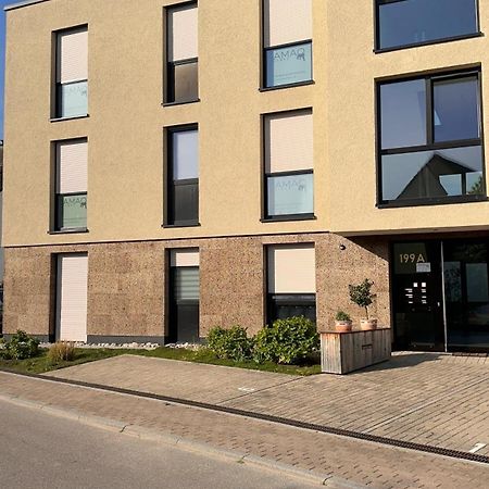 Апартаменти Amao-Sepia I 86Qm I King-Size Beds I Netflix I Privat Balcony I Free Parking I Near Europapark Райнгаузен Екстер'єр фото